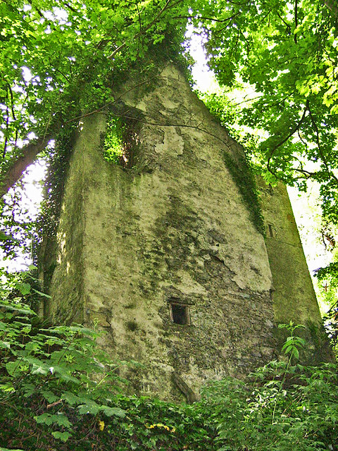 Castles of Munster: Dundanion, Cork