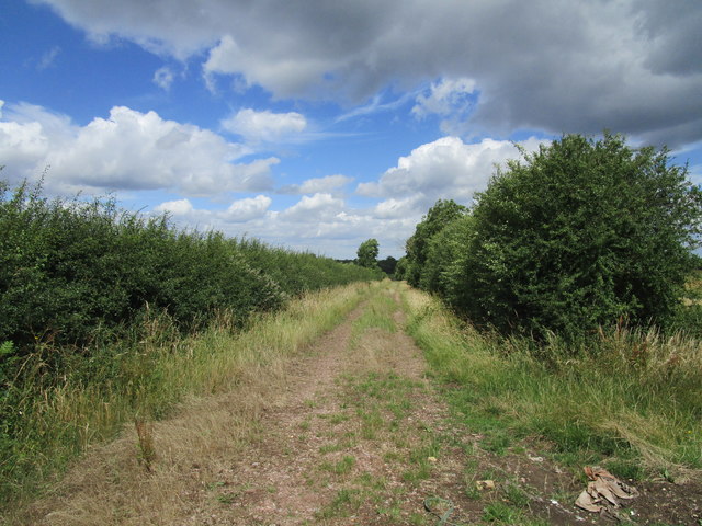 Farm track near Denford