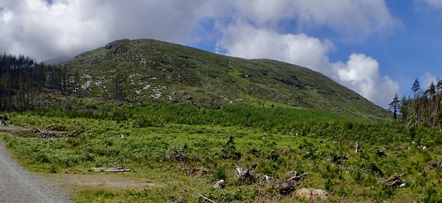 The northern slopes of Shan Slieve Mountain from Donard Wood