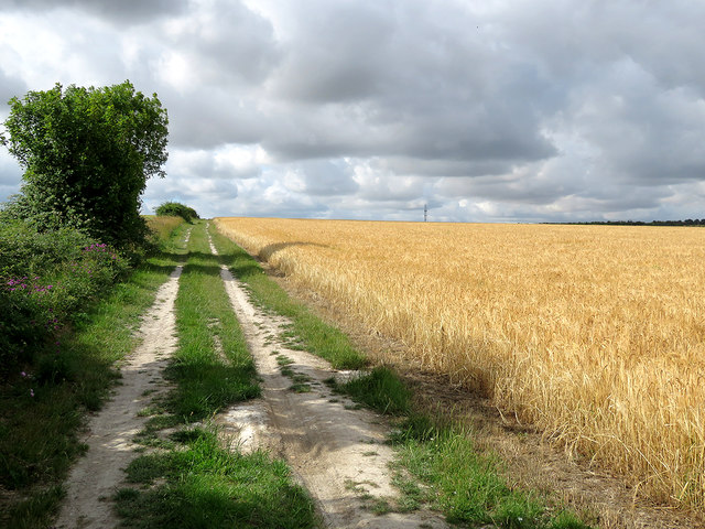 A farm track on Limepit Hill