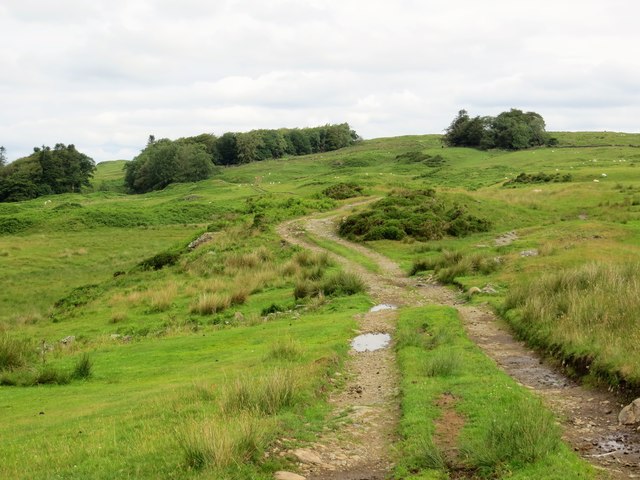 Farm track below Dow Craig Hill