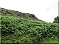 Small area of crags on Dow Craig Hill