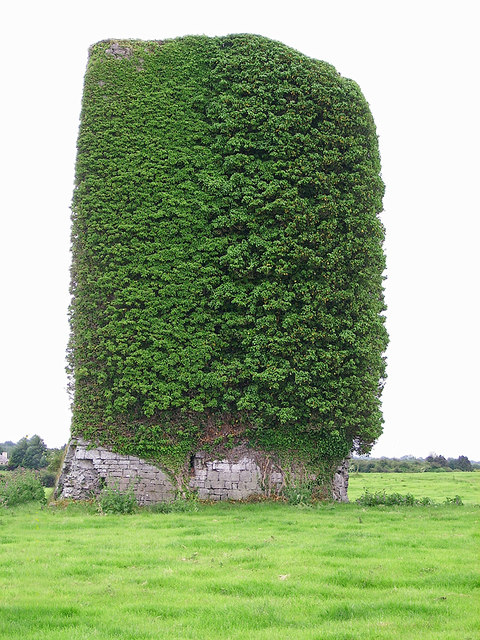 Castles of Munster: Dysert, Limerick (1)
