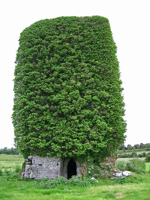 Castles of Munster: Dysert, Limerick (2)