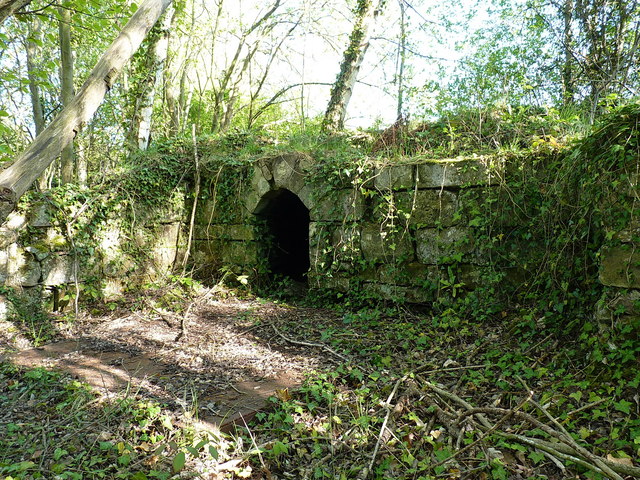 Remains of cellars at Tong Castle