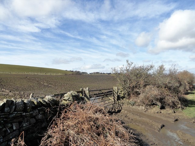 Field gateway on Healeyfield Lane