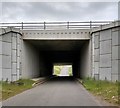 NS8062 : M8 underpass by Jim Smillie