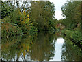 Canal north of Fordhouses in Wolverhampton