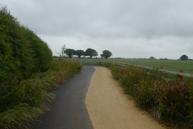 Path near the underpass