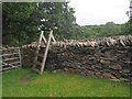 Ladder stile over a drystone wall