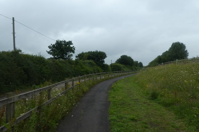 Cycle path beside the drive