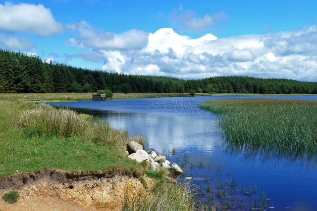 Craigdow Loch shoreline