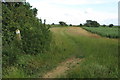 Three Shires Way heading South