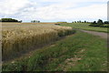 Footpath to the Yelden road