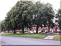 Green space between Langley Road and Ross Grove