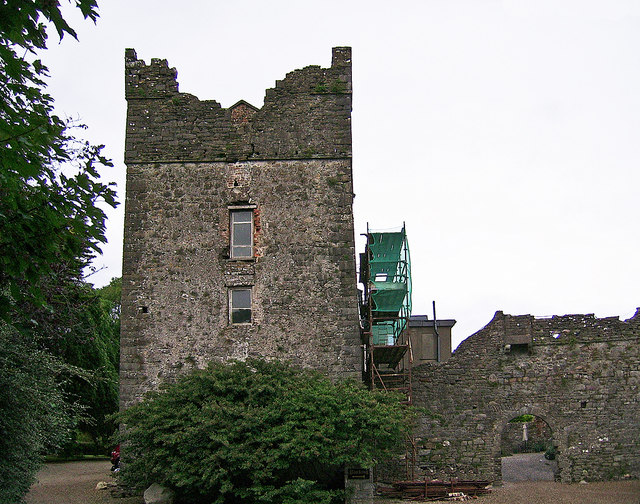 Castles of Leinster: Killiane, Wexford (1)