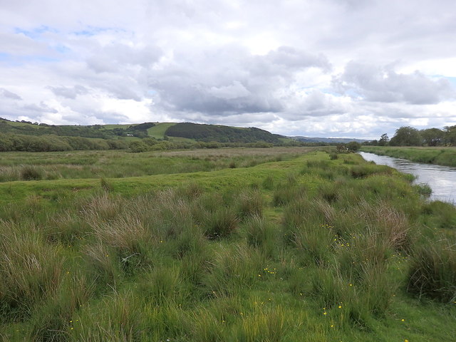 Dyke along the cut section of the Afon Teifi, Cors Caron