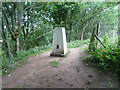 Trig Point on Abberley Hill