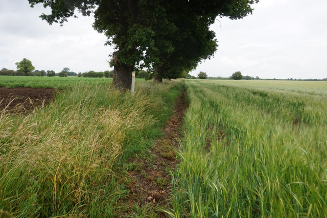 Path leading to Old Derwent Drain