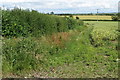 Bridleway to Riseley