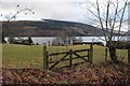 NN7244 : Field at Fearnan overlooking Loch Tay by Alan Reid