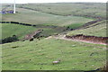 Hillside track near edge of common