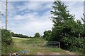 Gate on Ray Lane