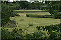 Grazing land near Meadow House