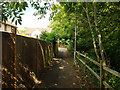 Path along brook, Maidenbower