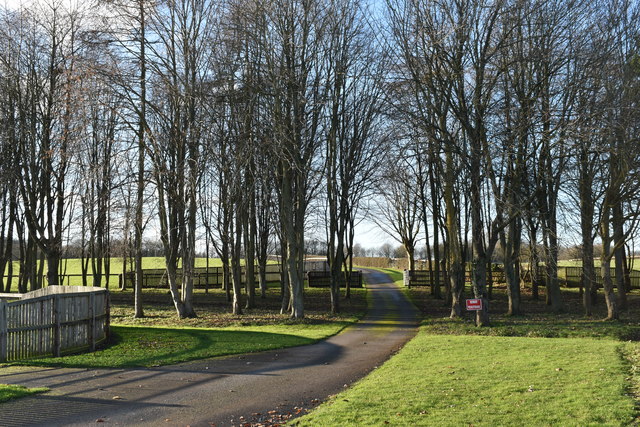 Driveway from Hodgedale Lane to Juddmonte Farm