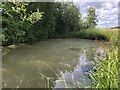 Pond next to the bridleway