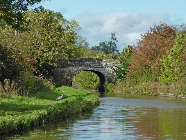 Canal south of Gnosall in Staffordshire © Roger D Kidd :: Geograph ...