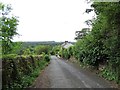 Looking down the lane