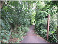 Public Footpath, Seaton Delaval