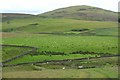 NT2242 : Sheep pasture, Upper Kidston by Jim Barton