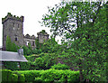 W3372 : Castles of Munster: Macroom, Cork (1) by Garry Dickinson