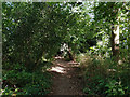 Footpath from old railway to Maidenbower Drive