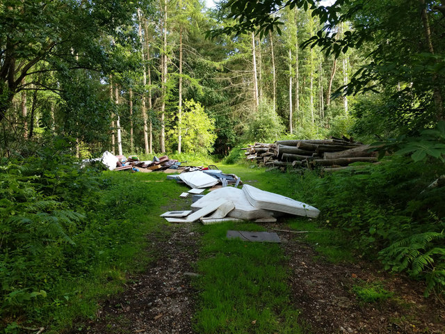 Fly tipping, Worth Lodge Forest
