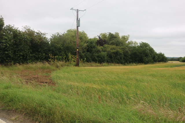 Field by Padham's Green Road
