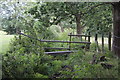 Footbridge in Aberbargoed Grasslands NNR