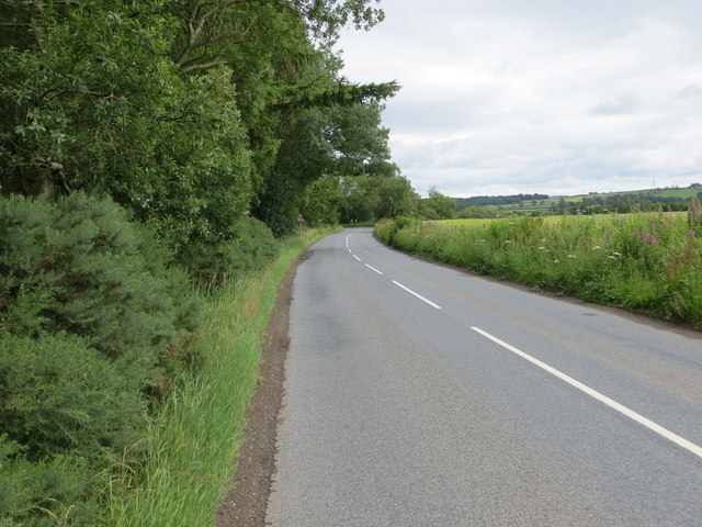 Road beside Taymount Wood