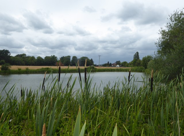 Pond near Hill Hoath © Marathon cc-by-sa/2.0 :: Geograph Britain and ...