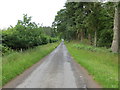 Hedge and tree-lined minor road near to The Knapp