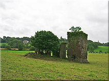 W4346 : Castles of Munster: Monteen, Cork (1) by Garry Dickinson