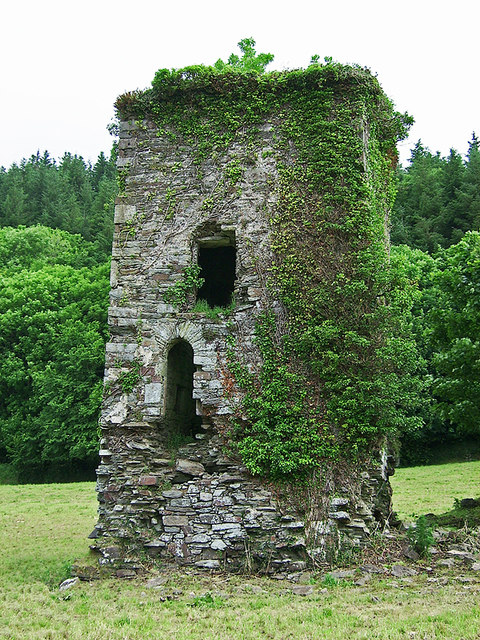 Castles of Munster: Monteen, Cork (3)