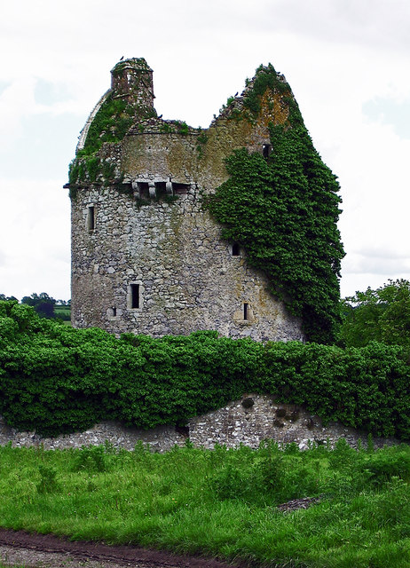 Castles of Munster: Moorstown, Tipperary (2)