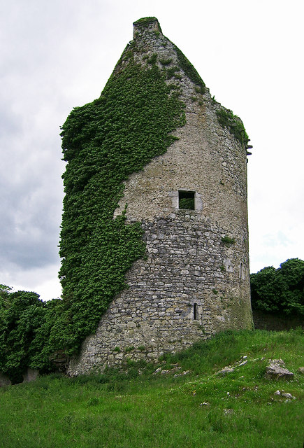 Castles of Munster: Moorstown, Tipperary (3)