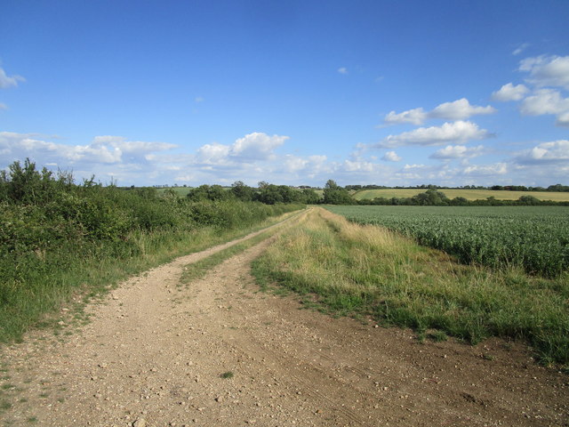 Farm track and bean field © Jonathan Thacker cc-by-sa/2.0 :: Geograph ...