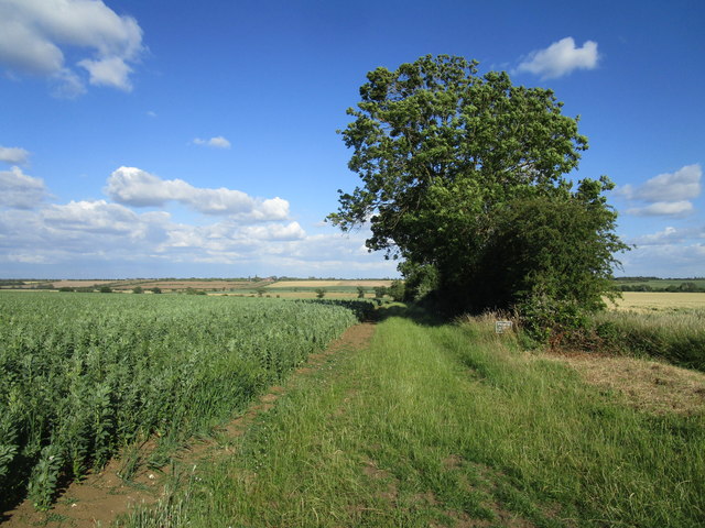 Field edge © Jonathan Thacker :: Geograph Britain and Ireland