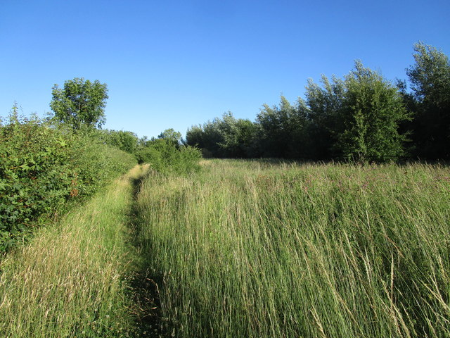 Footpath at Hargrave